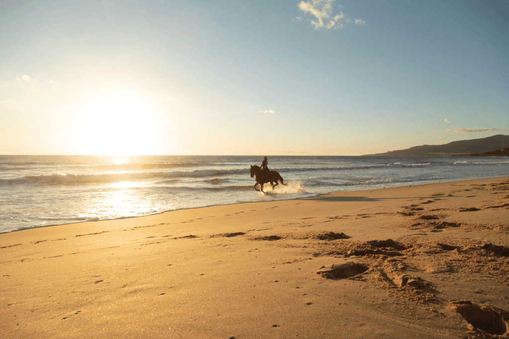 A Magical Moment: Joining a Turtle Release in Cabo
